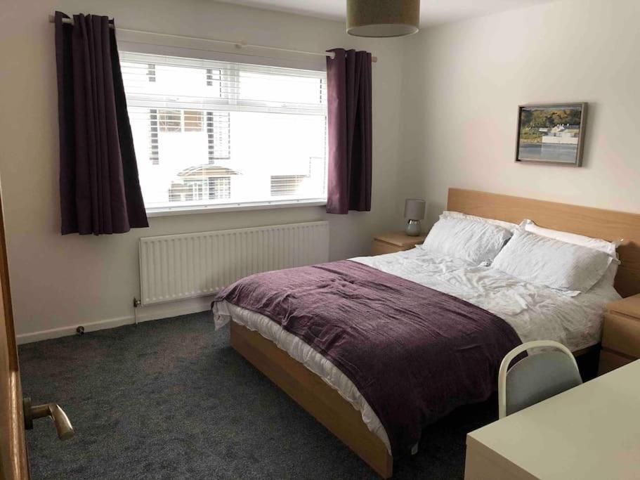 Revamped Holywood Town Centre House Leilighet Eksteriør bilde