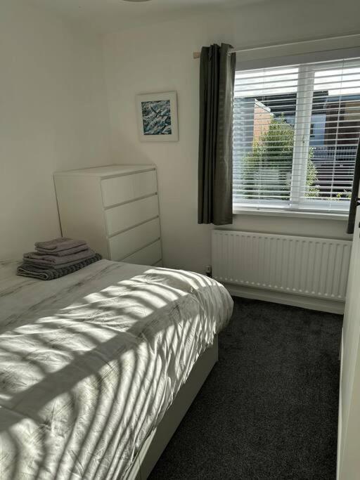 Revamped Holywood Town Centre House Leilighet Eksteriør bilde